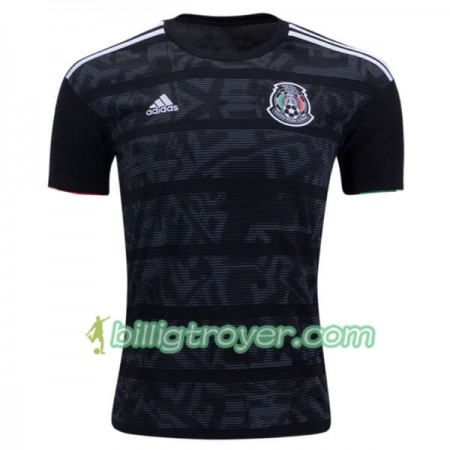 Billige Fotballdrakter Mexico Hjemmedraktsett Copa América 2019 Kortermet